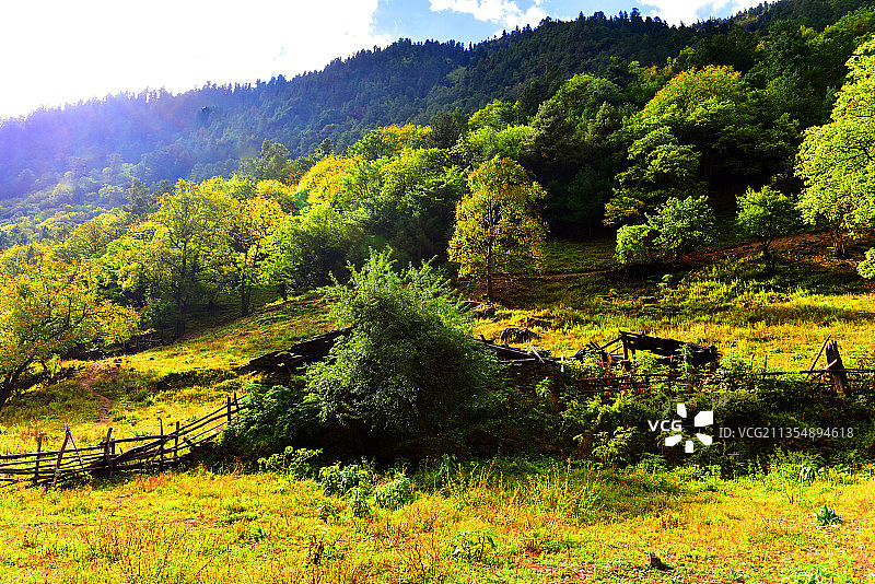 尼农峡谷图片素材