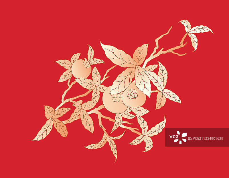 石榴传统线条图案图片素材