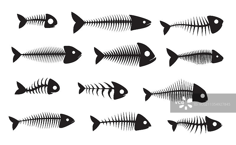 黑色鱼骨剪影图片素材