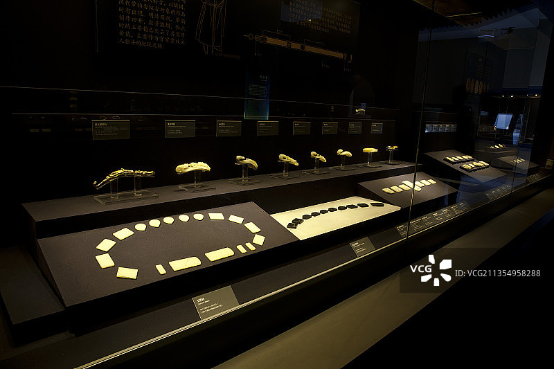 陕西西安博物院图片素材