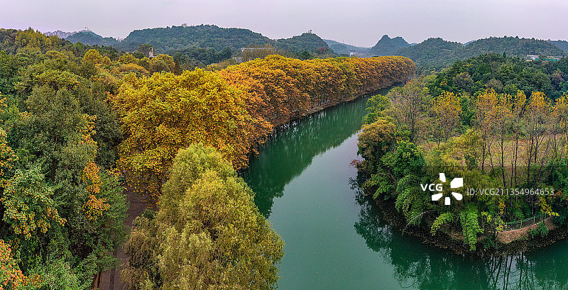 贵阳花溪河畔黄金大道法国梧桐浓墨重彩秋色登场，风景独好图片素材