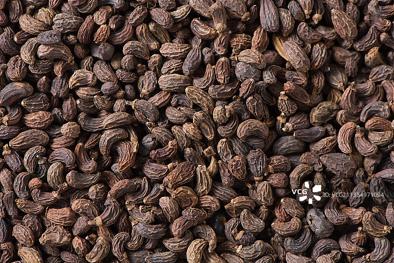 中药材女贞子背景图片素材