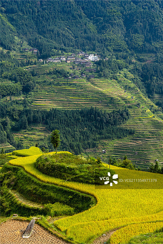 贵州从江县加榜梯田图片素材