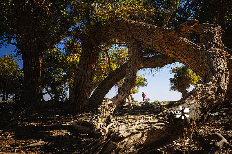 千年的等候图片素材