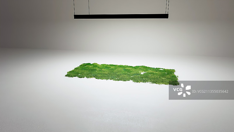 照明,人工培育,人工,绿化,苔藓,植物,蔬菜,灯光,灯图片素材