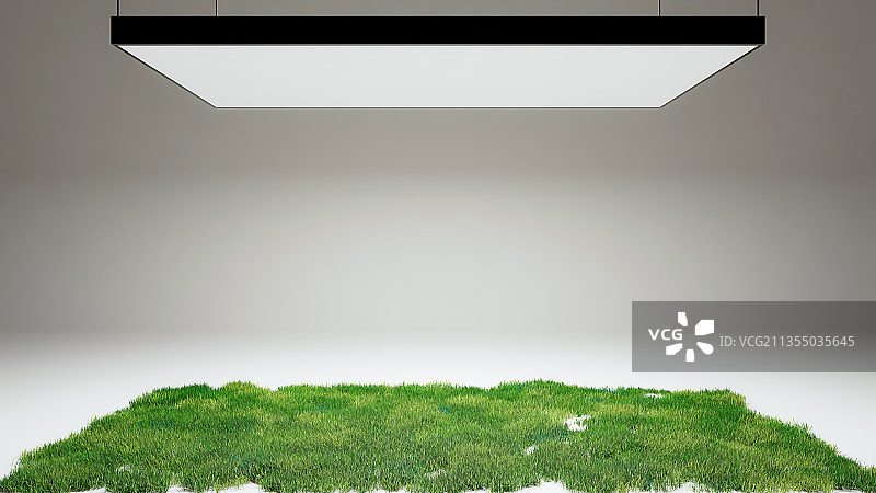 照明,人工培育,人工,绿化,苔藓,植物,蔬菜,灯光,灯图片素材