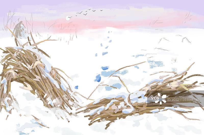 拆图-白色雪地柴图片素材