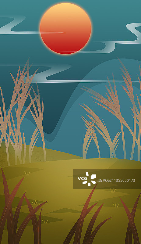 户外草地芦苇背景图片素材