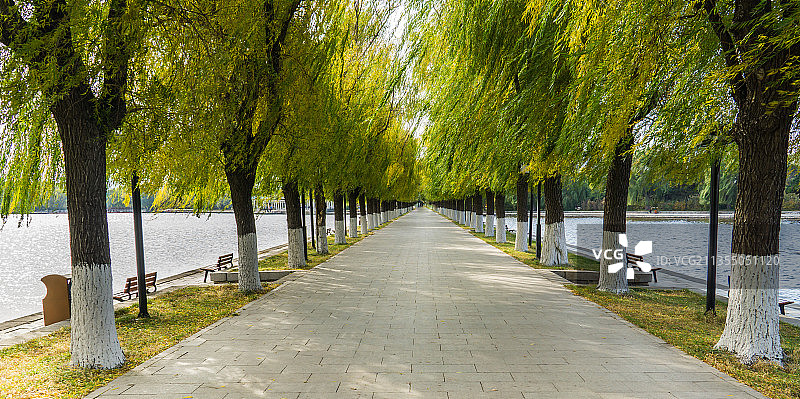 秋季沈阳清昭陵的林荫道图片素材