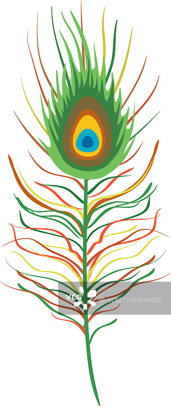 美丽的孔雀羽毛图片素材