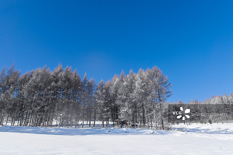 中国吉林延边大兴安岭的雪地树林和村庄图片素材