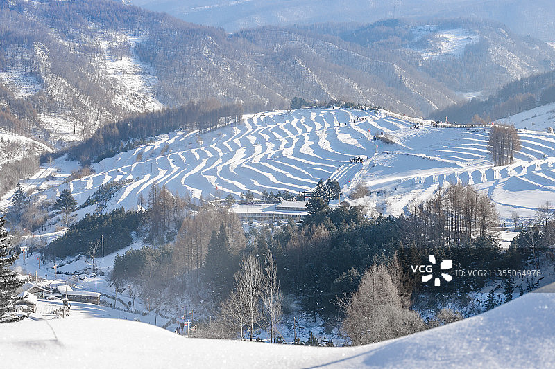 中国吉林延边大兴安岭的雪地树林和村庄图片素材