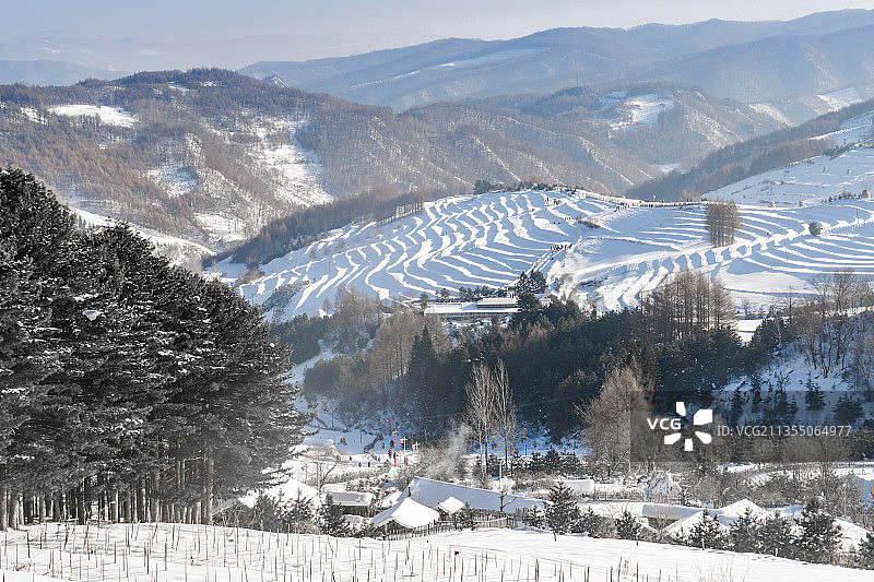 中国吉林延边大兴安岭的雪地树林和村庄图片素材