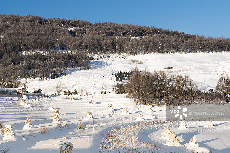 中国吉林延边大兴安岭的雪地树林和村庄图片素材