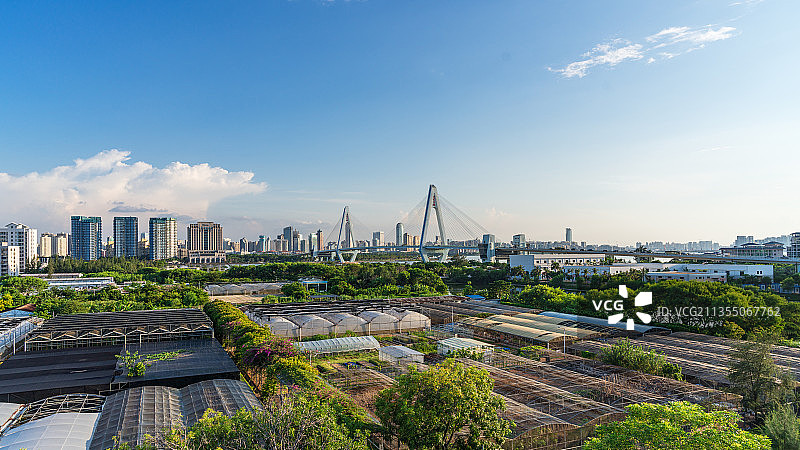 海南大学农学实验田图片素材