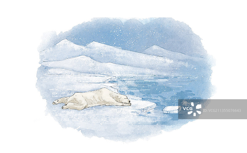 饥饿的北极熊插画图片素材