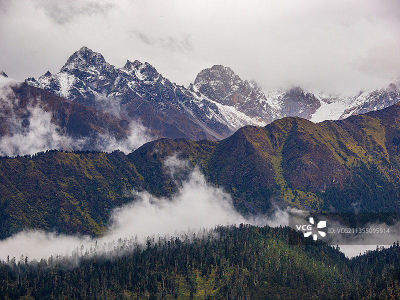 西藏林芝-鲁朗林海-鲁朗小镇-田园风光图片素材