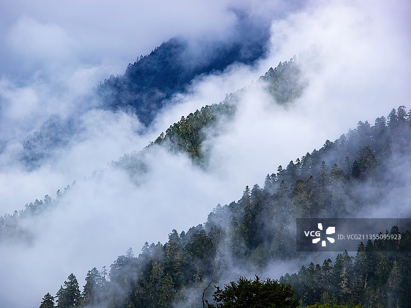西藏林芝-鲁朗林海-鲁朗小镇-田园风光图片素材
