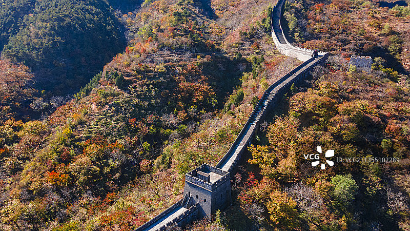 天津蓟州区黄崖关长城满山红叶航拍图图片素材
