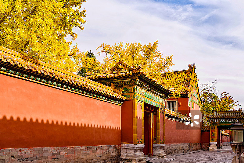 故宫·秋日私语图片素材