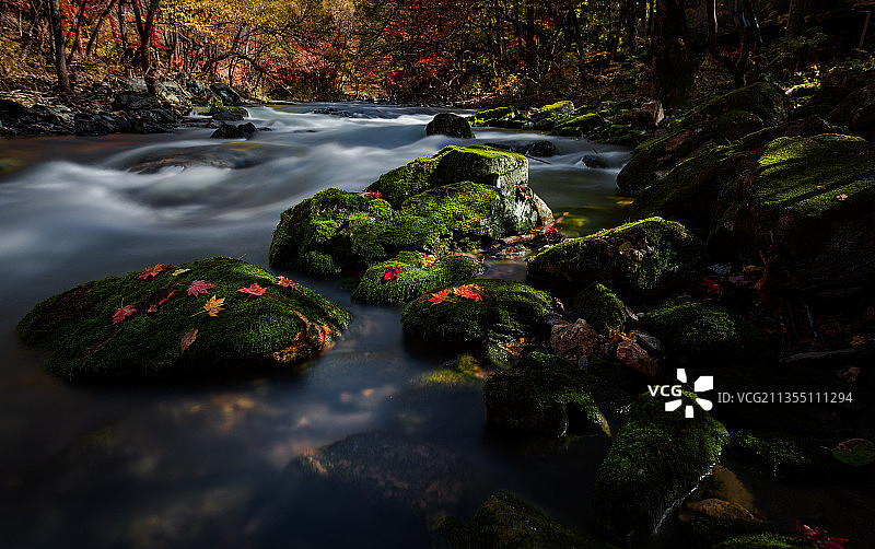 本溪关门山红枫图片素材