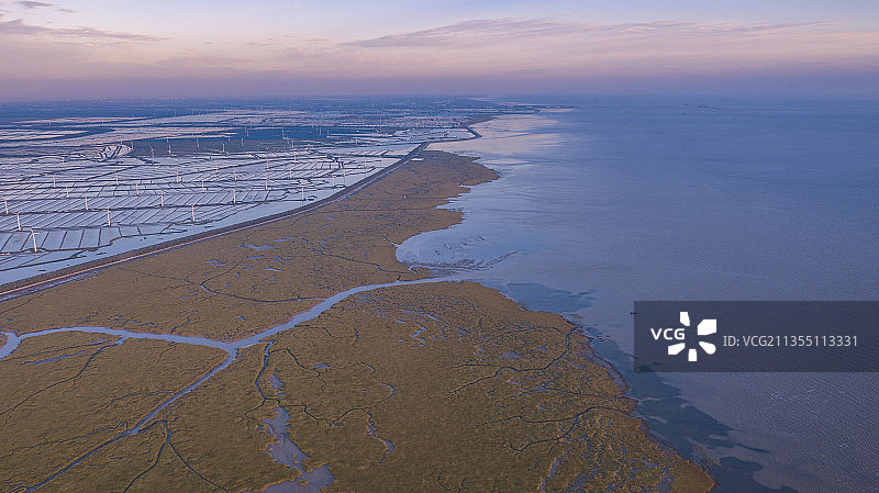 江苏东台条子泥湿地图片素材