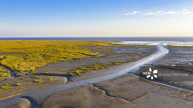 江苏东台条子泥湿地图片素材