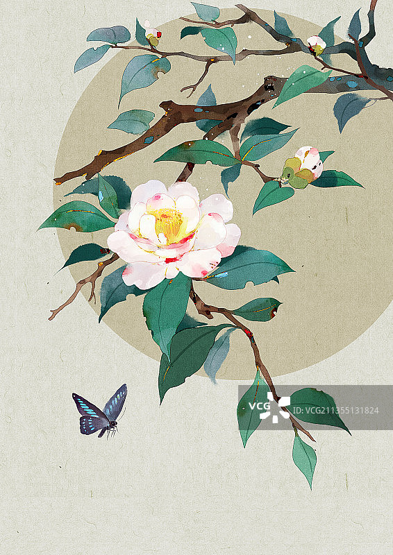 山茶花水墨插画图片素材