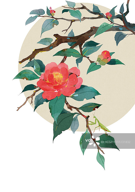 山茶花水墨插画图片素材