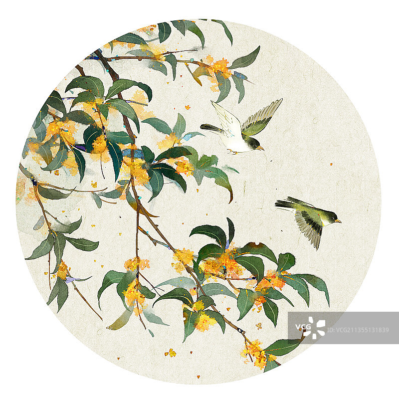 桂花圆形水墨画图片素材