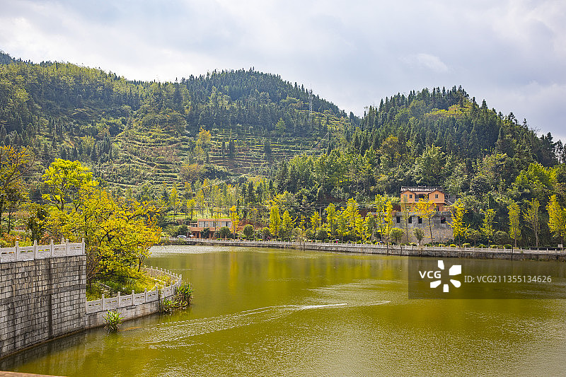 世界古银杏之乡--中国贵州六盘水盘州市妥乐古银杏村-东盟会议图片素材