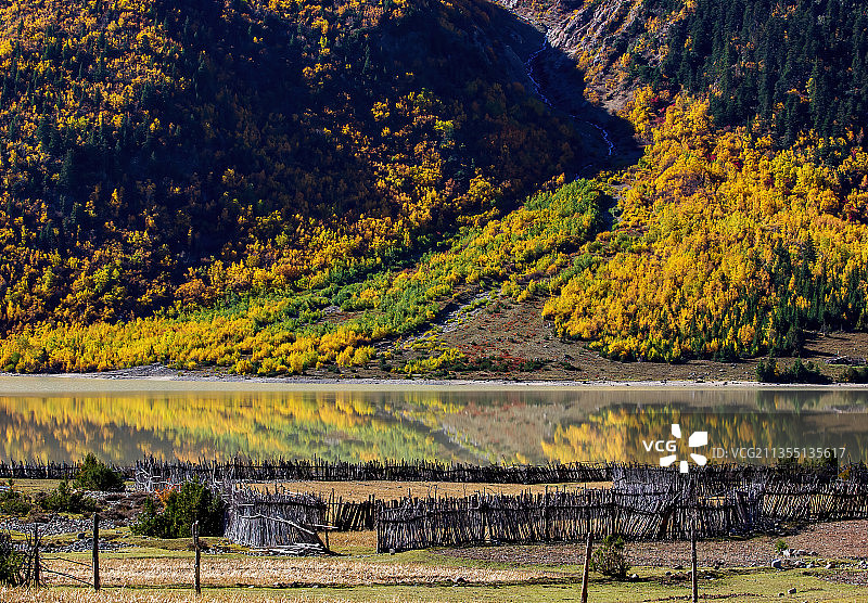 西藏昌都八宿然乌湖秋色图片素材