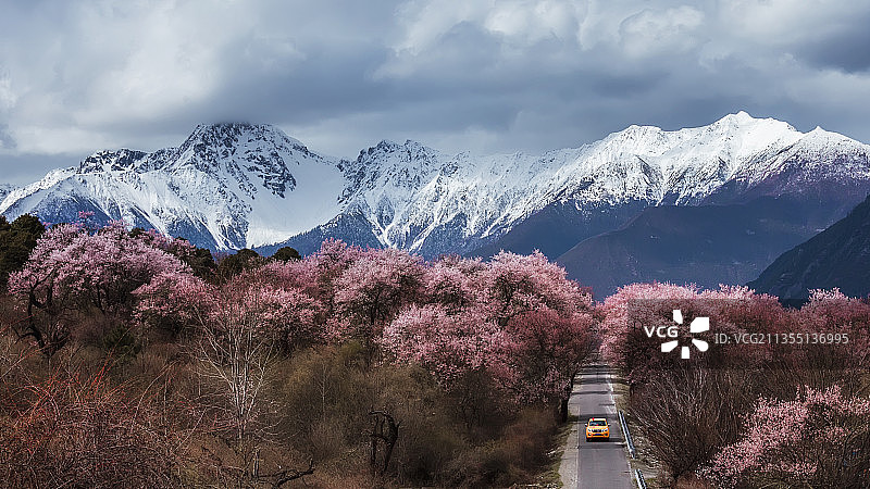 十里桃花图片素材