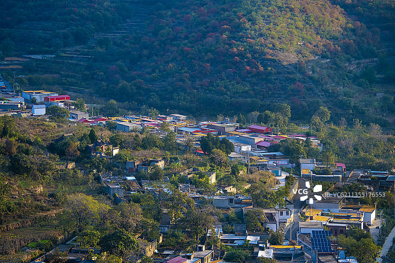 河北邯郸-武安-安子岭村-晒秋-梯田图片素材