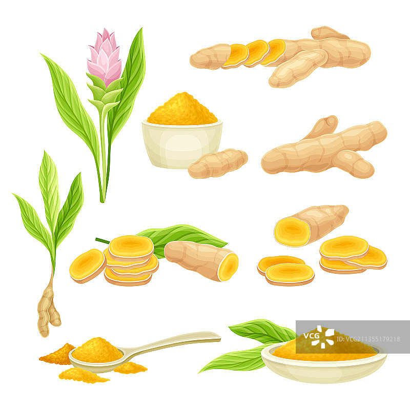 姜黄根茎与花图片素材