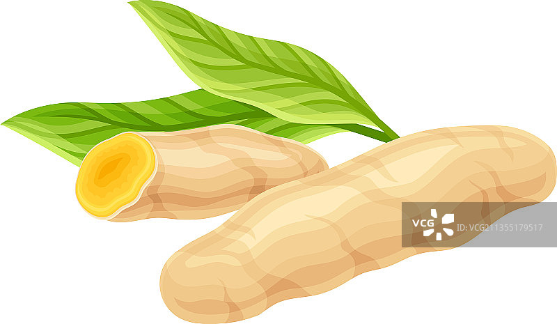 亚洲菜肴中使用的姜黄或姜黄根茎图片素材