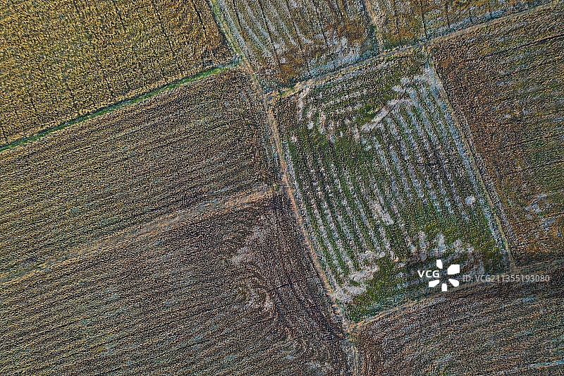 冬天大地的自然纹理图片素材