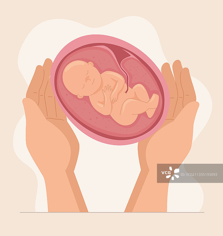 在子宫里手握婴儿图片素材