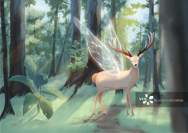 清晨的第一缕阳光图片素材