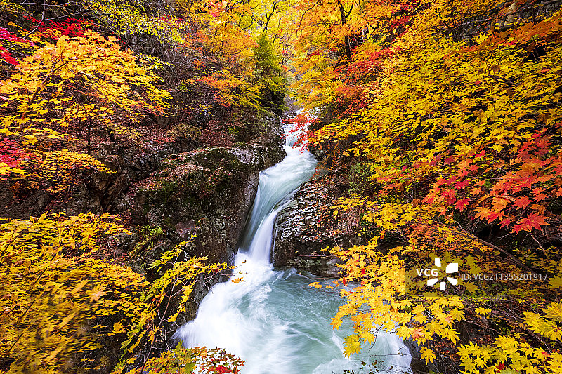 秋水枫情十（本溪大石湖）图片素材