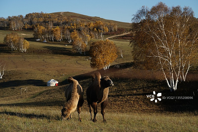 坝上印象图片素材