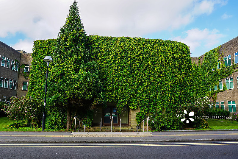 一栋被绿色植物包裹的楼图片素材