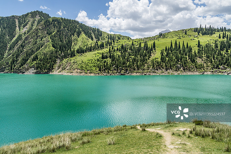 夏季中国新疆G217独库公路龙池沿途的雪山草原森林湖泊图片素材