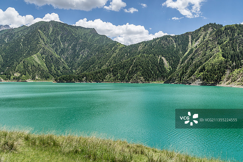 夏季中国新疆G217独库公路龙池沿途的雪山草原森林湖泊图片素材