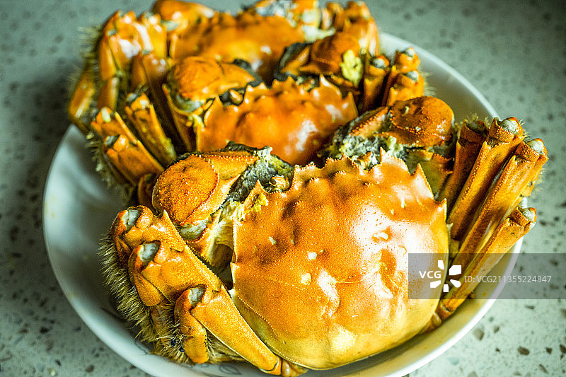 太湖螃蟹图片素材