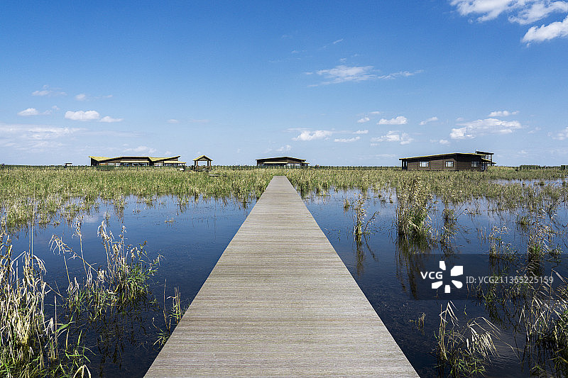 初秋的上海崇明东滩湿地和木栈道图片素材