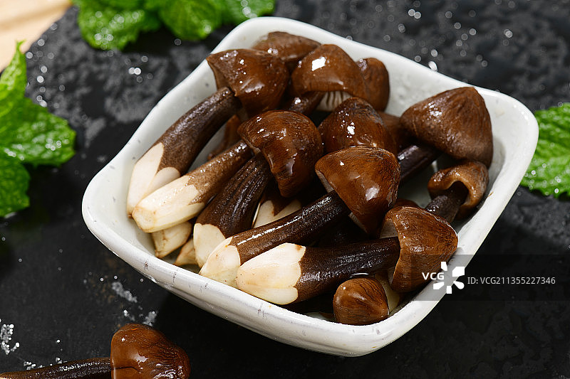 黑皮鸡枞菌图片素材