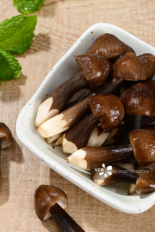 黑皮鸡枞菌图片素材