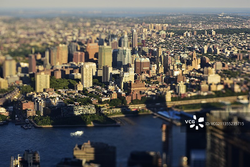 纽约城市森林图片素材