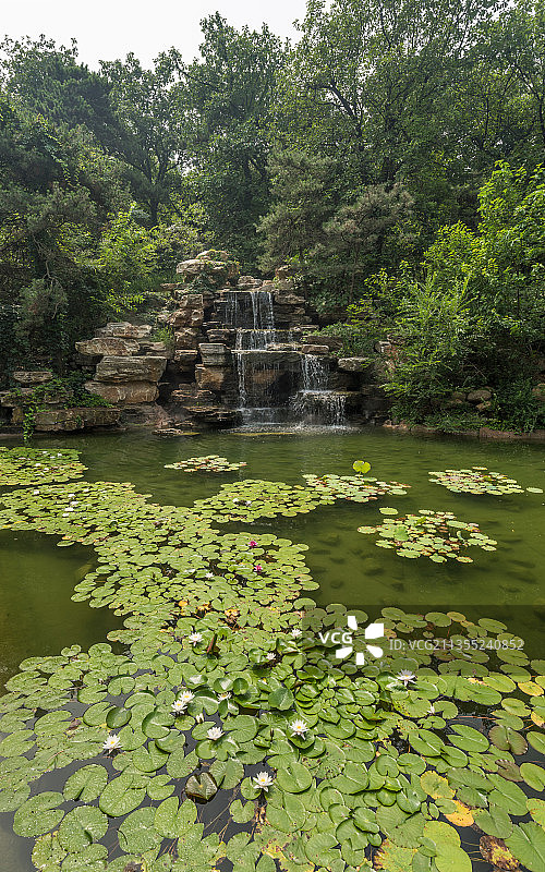 中国北戴河联峰山公园的荷花池树林假山古建筑图片素材